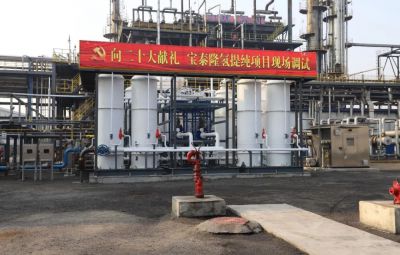 向二十大献礼|yw永旺快投网氢提纯项目建成调试